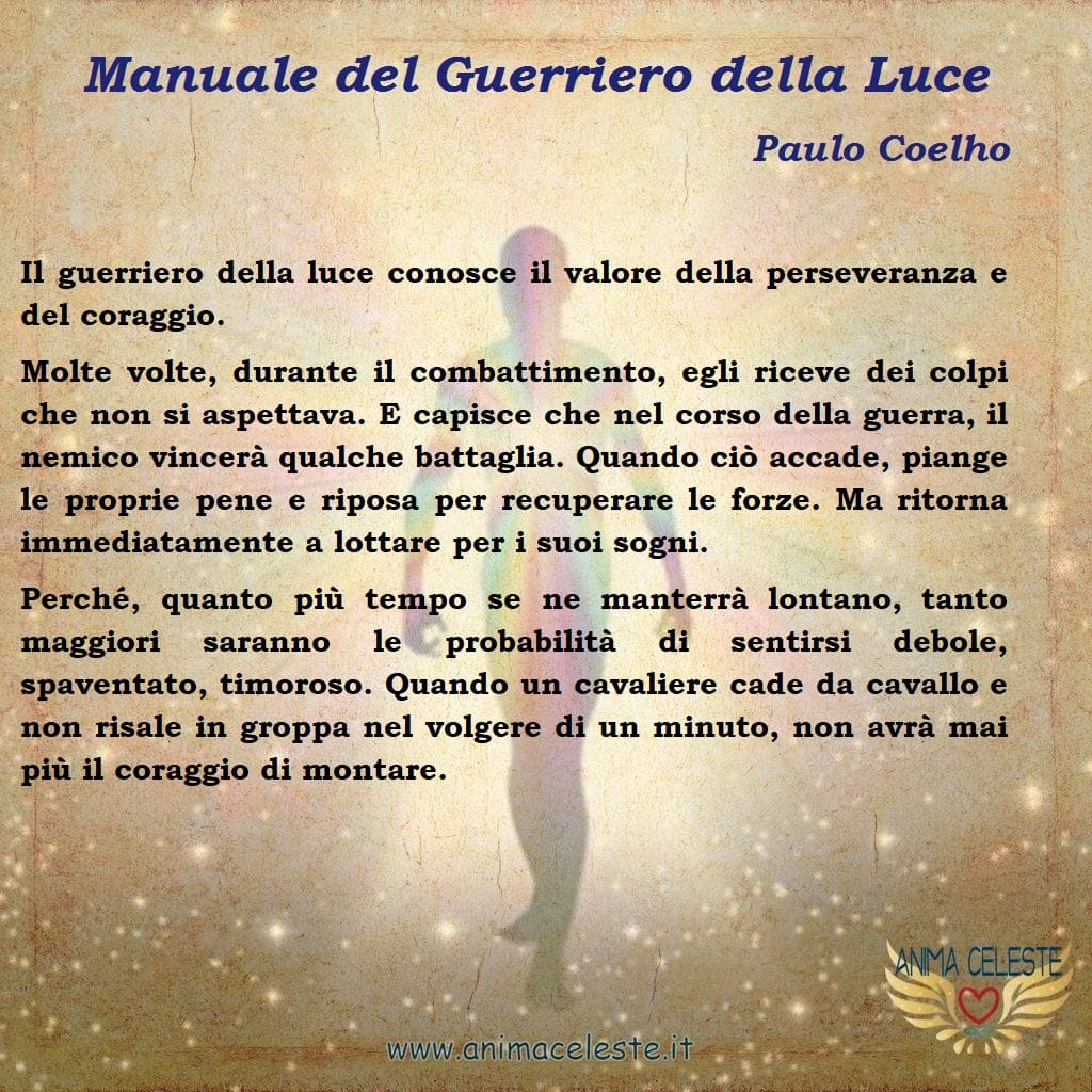 animaceleste.it - guerriero della luce