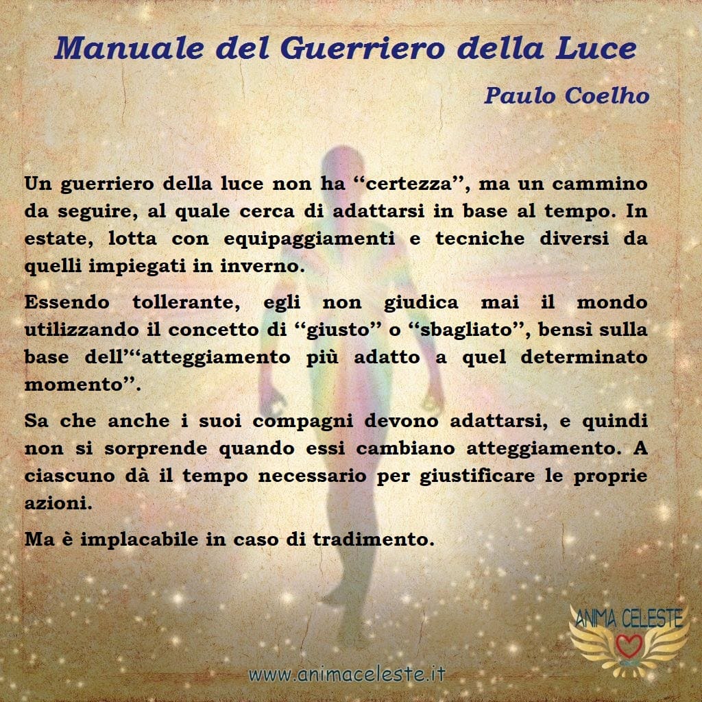 animaceleste.it - guerriero della luce