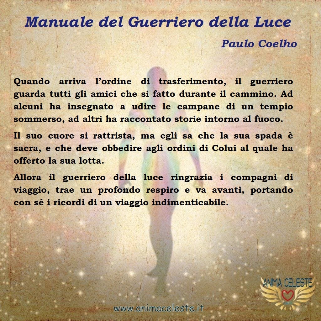 animaceleste.it - guerriero della luce