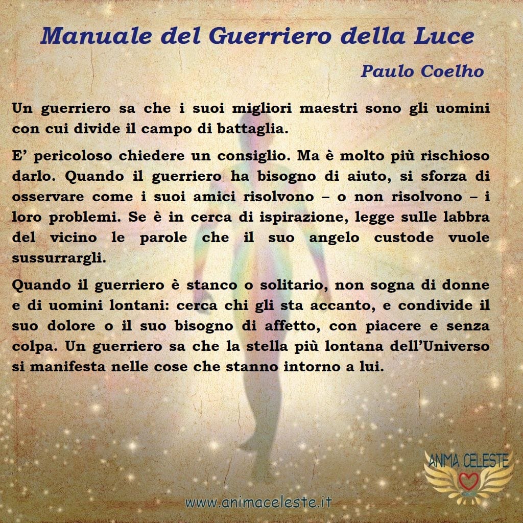 animaceleste.it - guerriero della luce