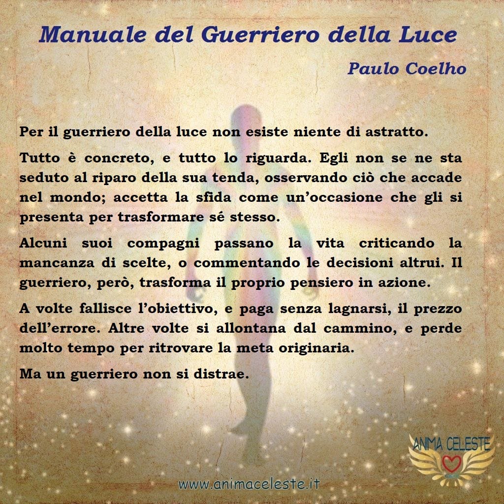 animaceleste.it - guerriero della luce