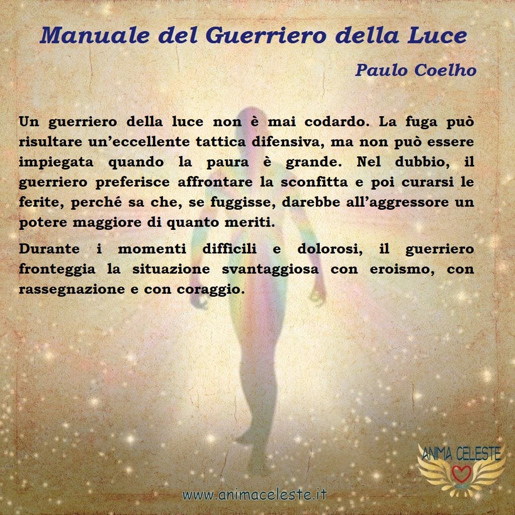 animaceleste.it - guerriero della luce