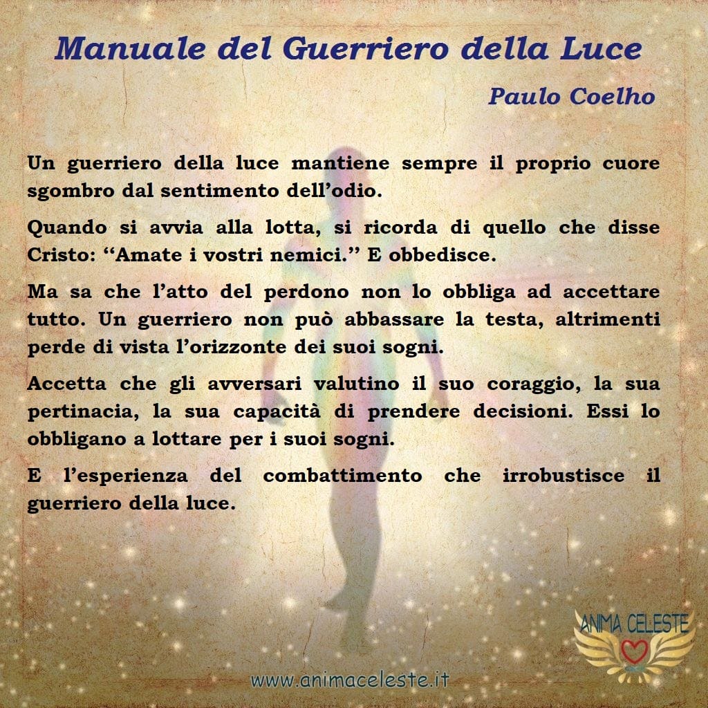 animaceleste.it - guerriero della luce