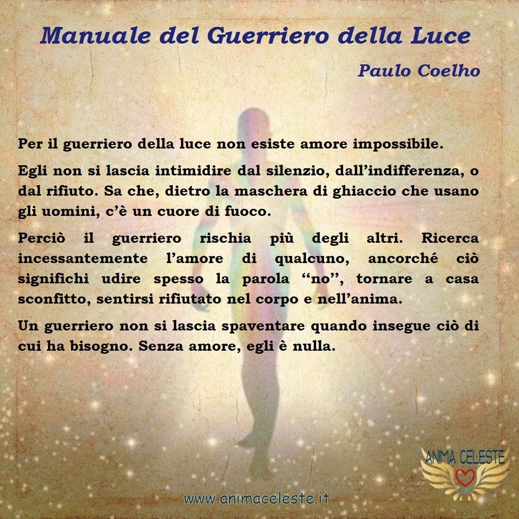 animaceleste.it - guerriero della luce