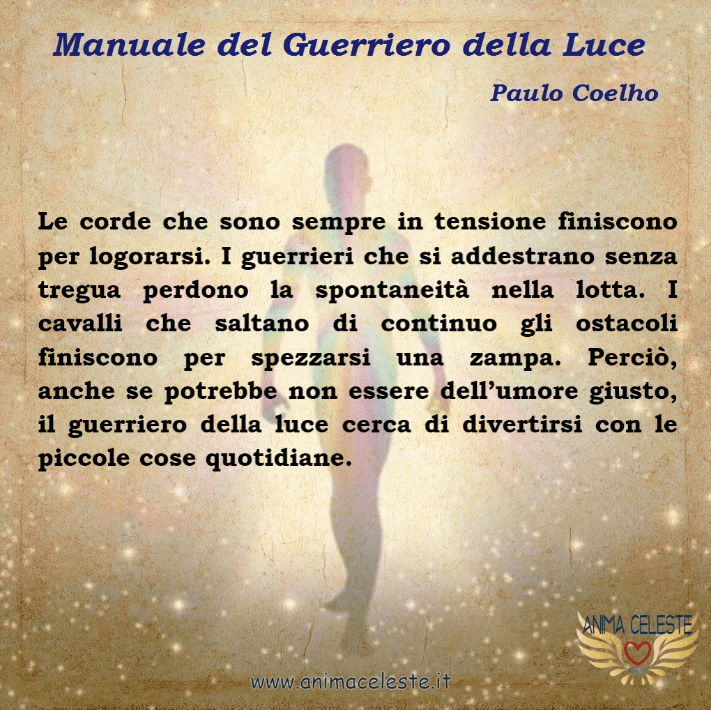 animaceleste.it - guerriero della luce