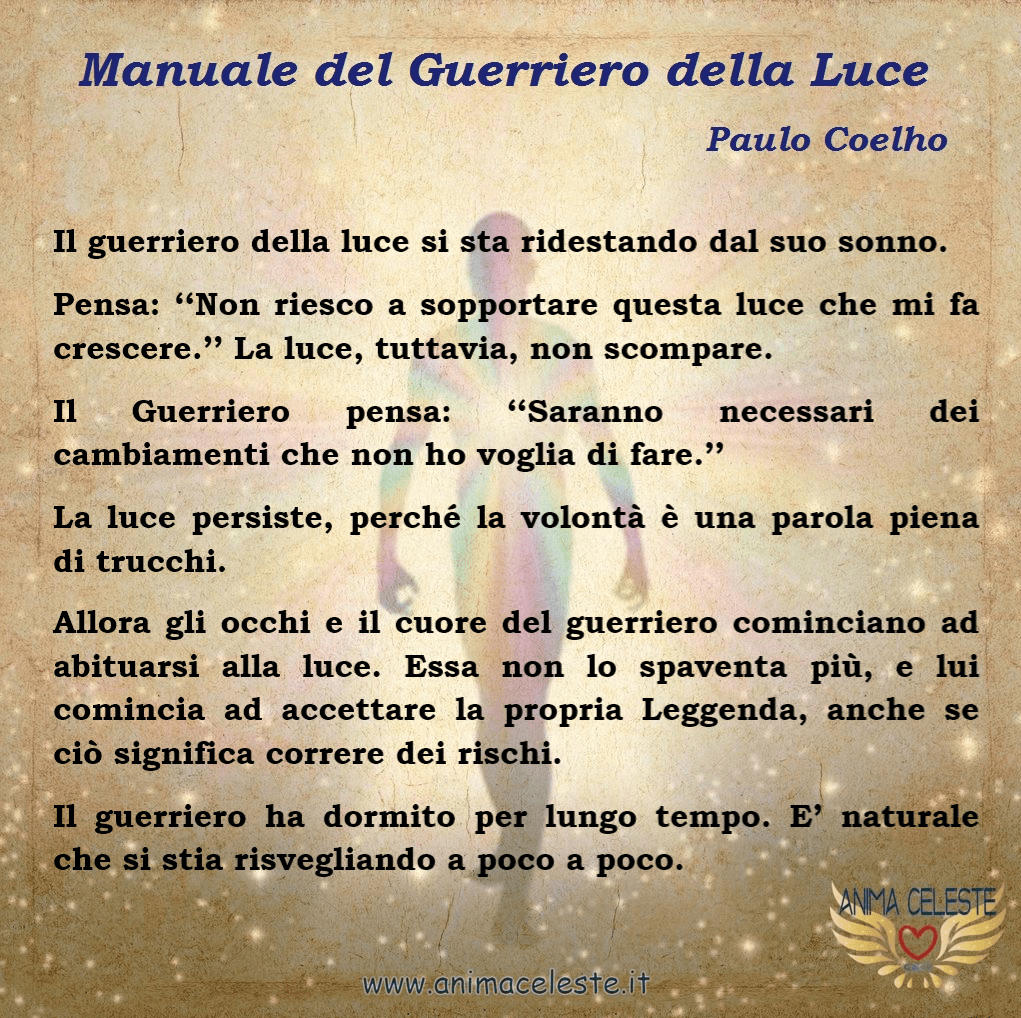 animaceleste.it - guerriero della luce