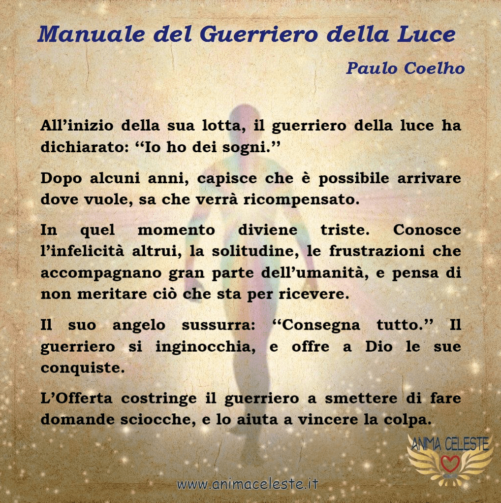 animaceleste.it - guerriero della luce